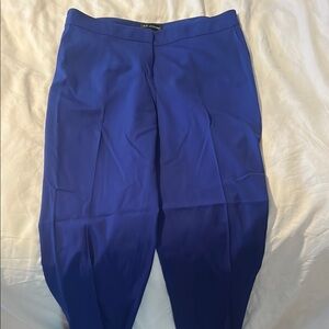 St. John Vibrant Blue Pants